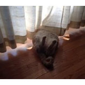Zelda Fatherly's photo