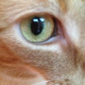 Ann Wright's photo