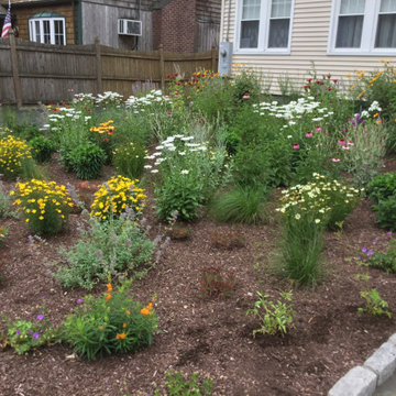 Pollinator Garden, Front Lawn Replacement
