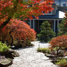 entry courtyards