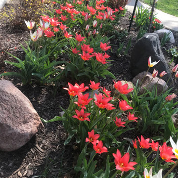 Small Garden Beds