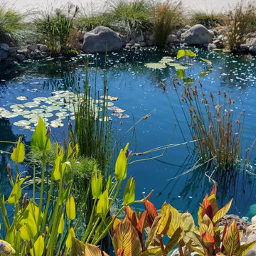Water Features