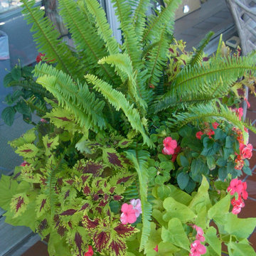 Containers - Summer