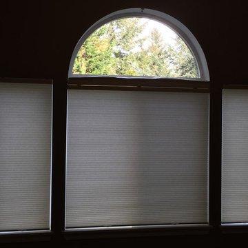 | Cellular & Honeycomb Shades |