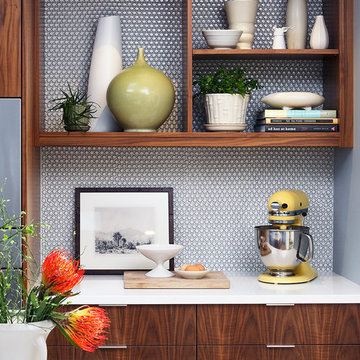 Mid-Century Modern Kitchen