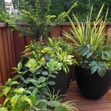 Container Gardens