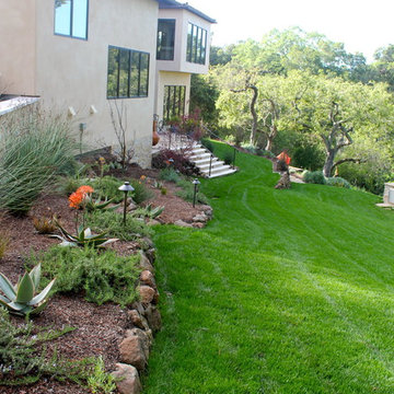 Our Work