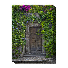 outdoor "window"