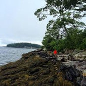 Layton Davis's photo