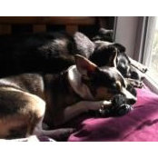 Kristen Sarvis's photo