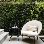 Foto di PEEK Architecture + Design Ltd