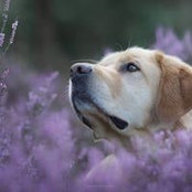 Renate Wegner's photo