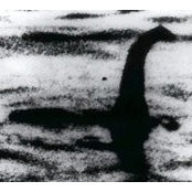 Photo de Petar Krokanić Miki
