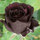 webuser_4529631