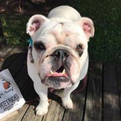 Sara Brown's photo
