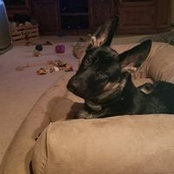 Jackie Falkey's photo