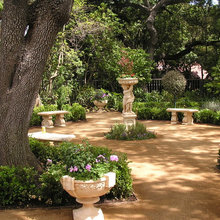 Mediterranean garden