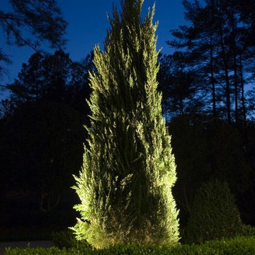 Affordable Lawn Sprinkler and Lighting's Artistry around Northern Virginia