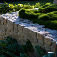 Landscape Ideas