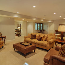 basement  wall color