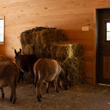 Swiss Army Barn