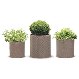 Tropical Outdoor Pots And Planters by keter