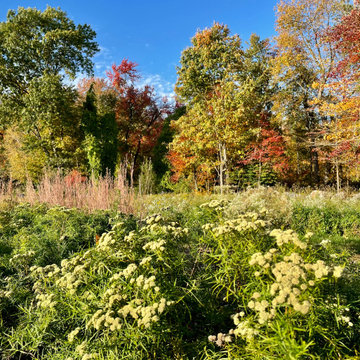A Natural Tapestry