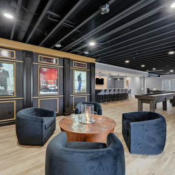 Custom Theater Focused Basement - Delafield, WI