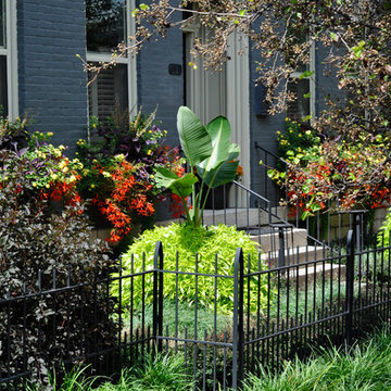 Urban Prairie- German Village