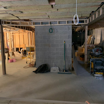 Basement with  Speak easy, Theater, Workout room and Lounge area - under constru