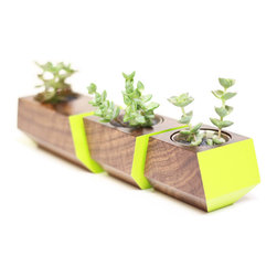 Boxcar Planter - Walnut and Lime - Products