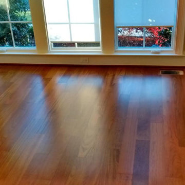 Brazilian Cherry in New Irving Park Neighborhood