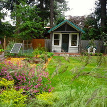 backyard-garden