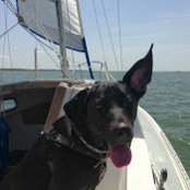 Olivia Colby's photo
