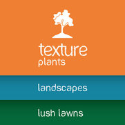 Texture Landscapes: a division of Texture Group's photo