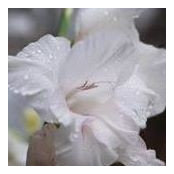 Deana Hennington's photo