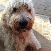 Foto de shellyduncan
