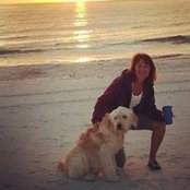 Gail Bowden's photo