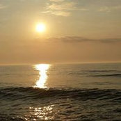 Celeste Fields Shelton's photo