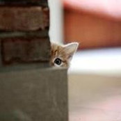 Catherine Burnham's photo
