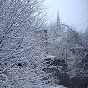 Bonnie Linn's photo