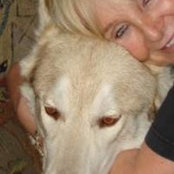 Valerie Glick Mullen's photo