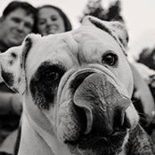 Jennie Mitchell's photo