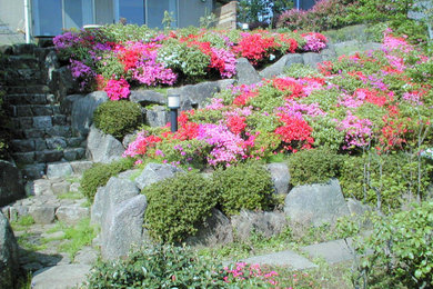 東京23区にある広い和風のおしゃれな庭の写真