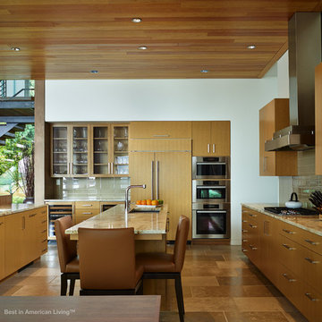 Contemporary Lakeside Home - Gold Award for One-of-a-Kind Custom Home 4001-6500