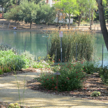 Fullerton Native/Low Water Front Yard
