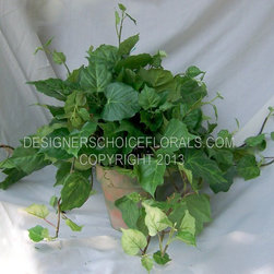 Traditional Greenery - Products