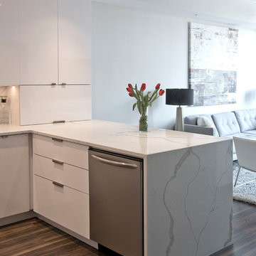 Elegant Kitchen and Bathroom Design Build in NW, Washington, DC.