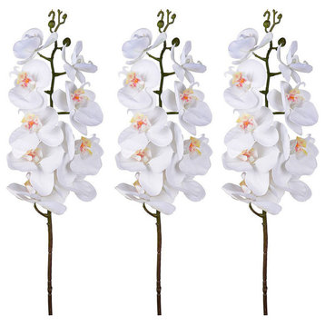 Set Of 3 Real Touch Orchid Stem, Cream 5x4x38"H