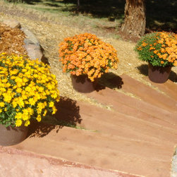 Stairs/Lighting - Outdoor Products